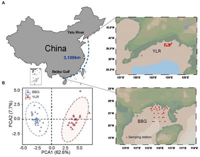 Discordant patterns between nitrogen-cycling functional traits and taxa in distant coastal sediments reveal important community assembly mechanisms